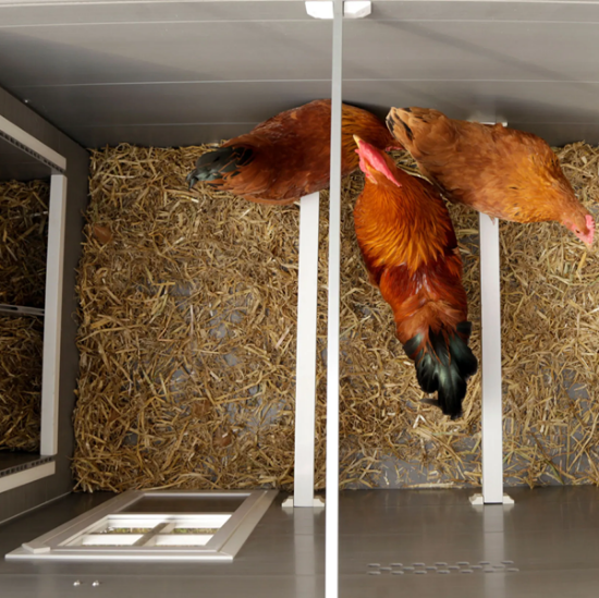 Fotografija izdelka EKO plastični kokošnjak Barney 137 x 73 x 83 cm