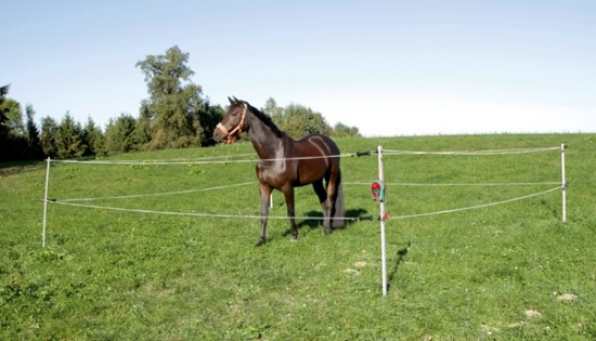 Fotografija izdelka Komplet za konjske turnirje in ograde – 7 x 7 m s pašnim aparatom