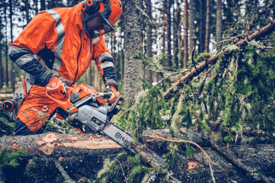 Fotografija izdelka Verižna motorna žaga Husqvarna 562XP MARK II (20'')