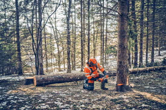 Fotografija izdelka Verižna motorna žaga Husqvarna 562XP MARK II (20'')