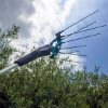 Fotografija izdelka Campagnola MASTER baterijske grabljice za obiranje oljk s palico 150–220 cm